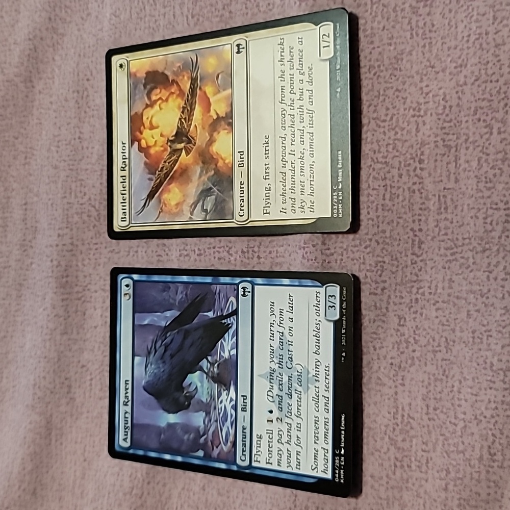 Set of 2 Magic The Gathering (MTG) Bird Trading Cards